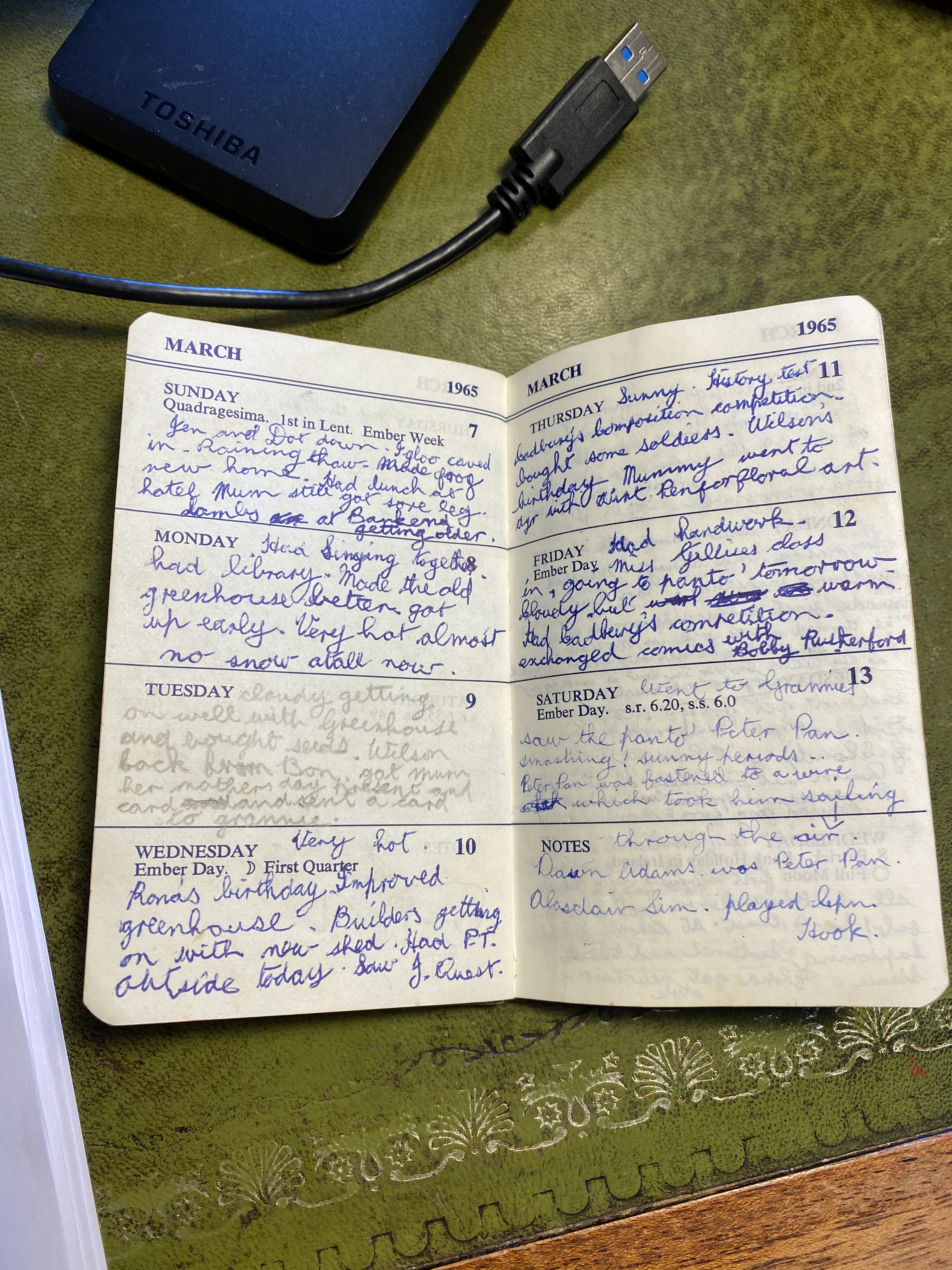 The Keeping of Diaries – The Bohemian Waxwing